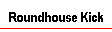 Roundhouse Kick