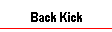 Back Kick